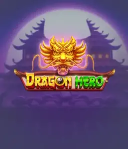 Enter a legendary quest with the Dragon Hero game by Pragmatic Play, showcasing vivid visuals of powerful dragons and epic encounters. Venture into a world where fantasy meets adventure, with symbols like enchanted weapons, mystical creatures, and treasures for a mesmerizing gaming experience.